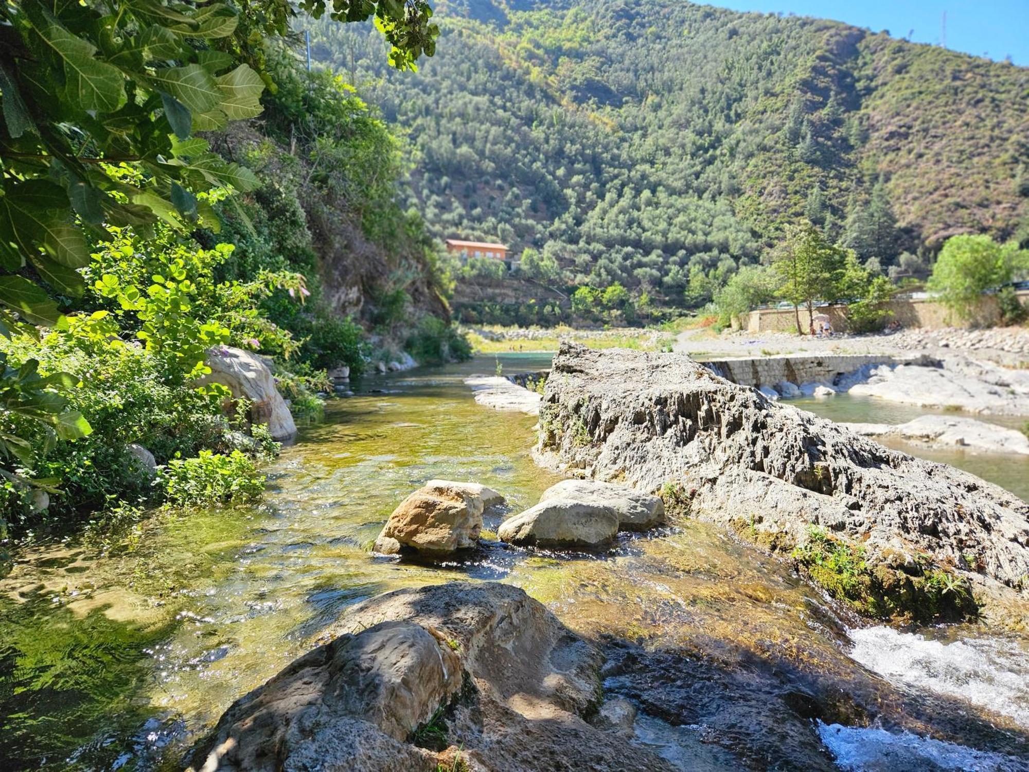 Sweet Home Badalucco 10 Min Dal Mare 4 Persone Екстериор снимка